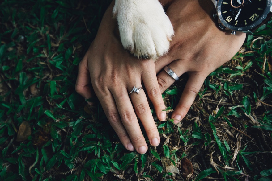 How to Include Your Dog in Your Wedding Day | Confetti.co.uk