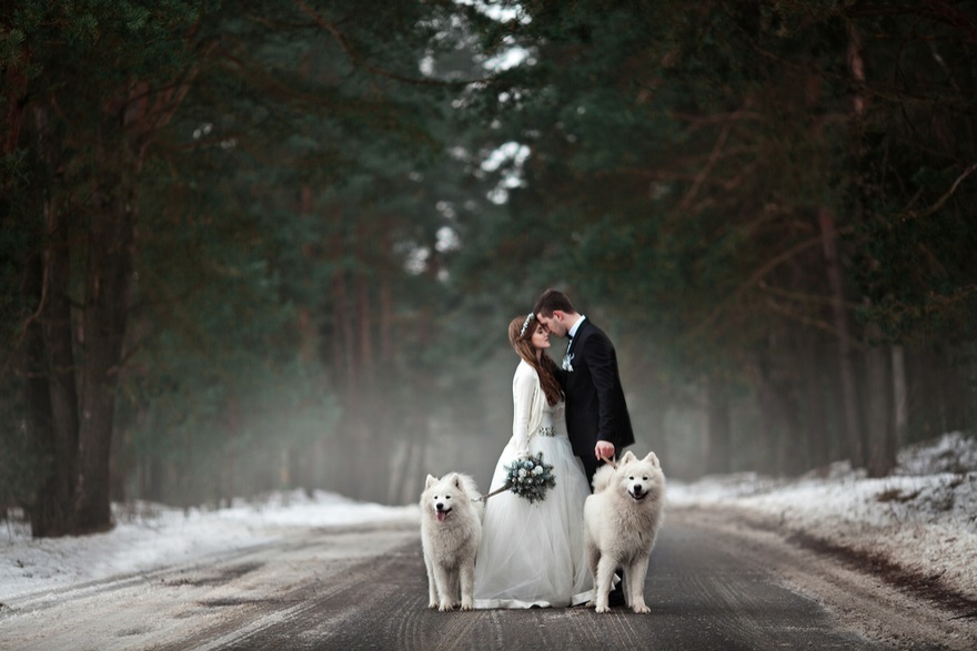 How to Include Your Dog in Your Wedding Day | Confetti.co.uk