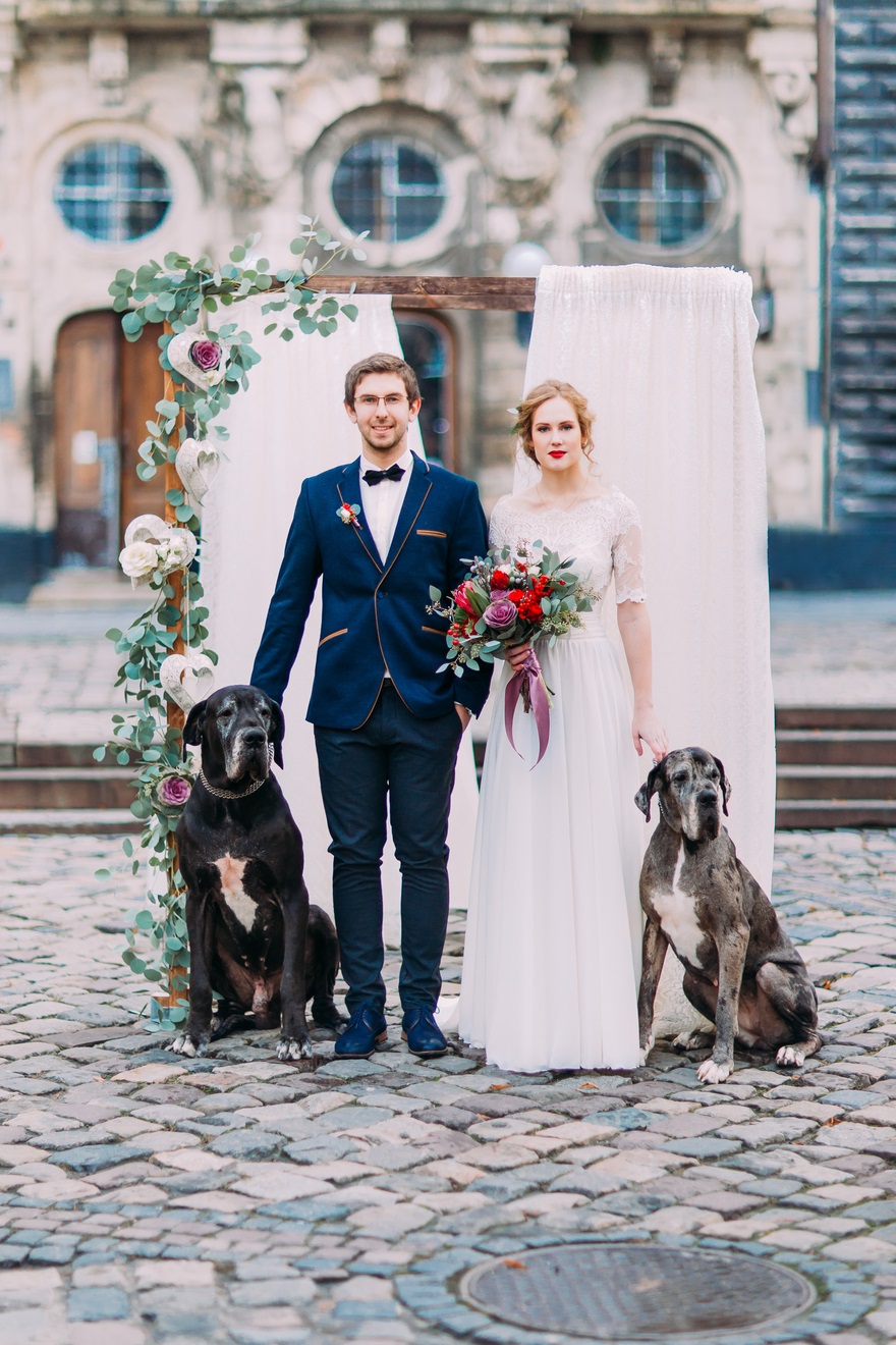 How to Include Your Dog in Your Wedding Day | Confetti.co.uk