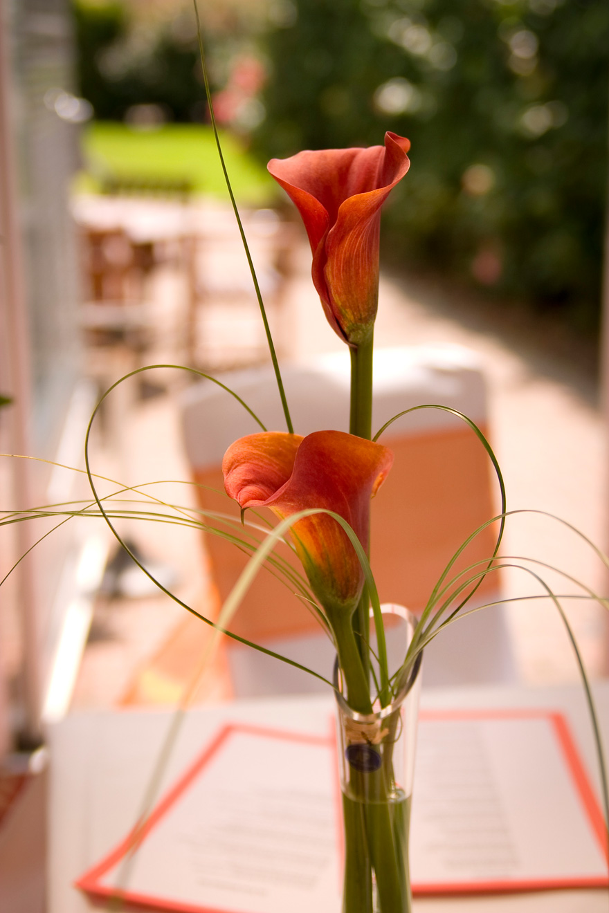 Red Orange Calla Lilly | Confetti.co.uk