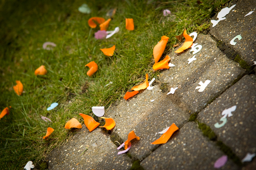 Wedding Flower Petals Confetti | Confetti.co.uk