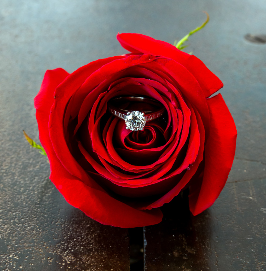 Diamond Ring in a Red Rose Wedding Photo Idea | Confetti.co.uk