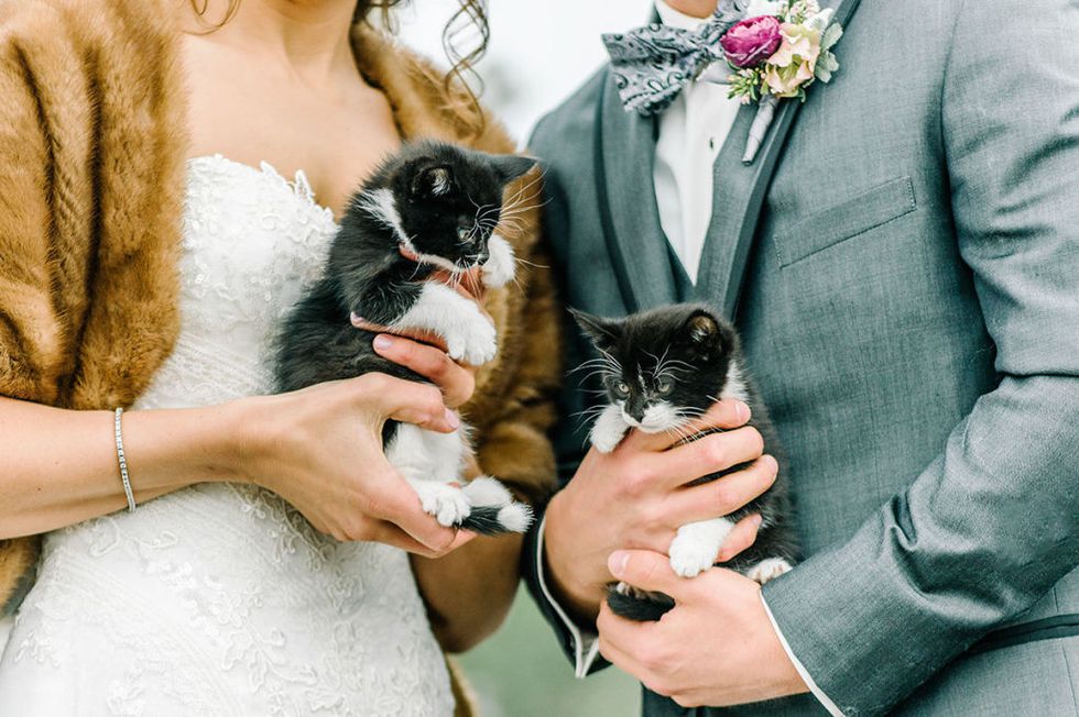 Alternative kitten bridal bouquet | Confetti.co.uk