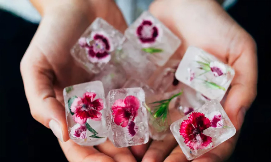 Rose-Infused Ice Cubes - Beautiful Flower Ice Cubes | Confetti.co.uk