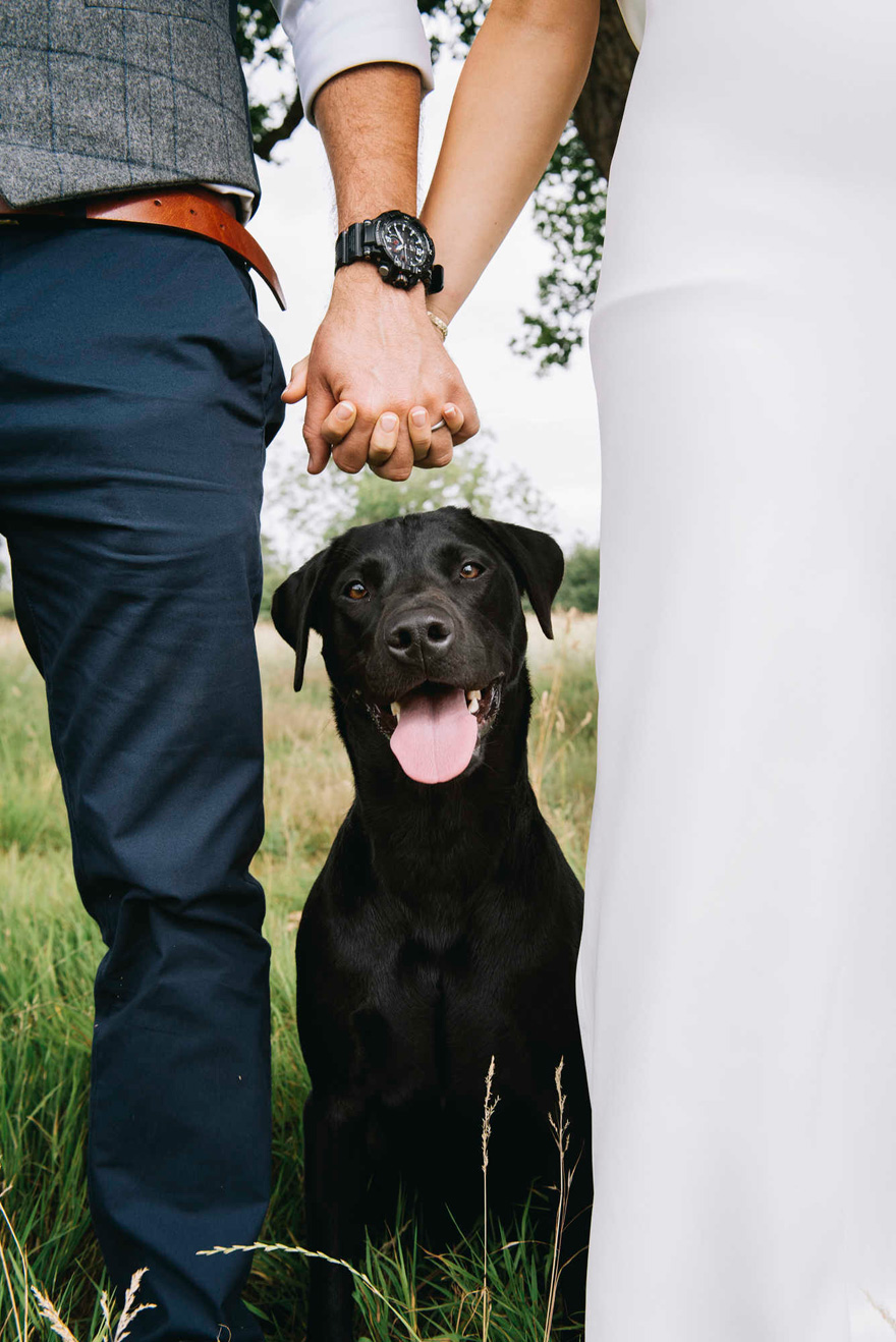 Wedding Photos with Dogs Cute Wedding Photo Idea by Emma-Jane Photography | Confetti.co.uk