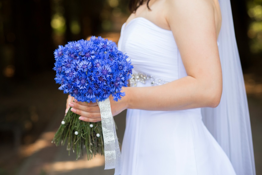 August wedding flowers Cornflower | Confetti.co.uk