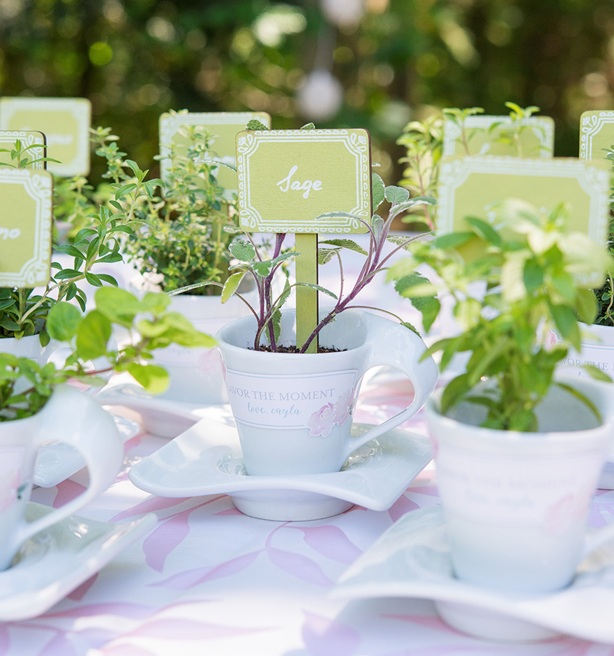 Miniature Wooden Decorative Stakes - Garden Wedding Reception Ideas - Herbs Wedding Favours - Teacup Wedding Favours - White and Green Wedding | Confetti.co.uk