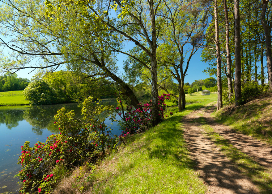 Delamere Manor Rhody Walk in Cheshire - Cheshire Wildlife | Confetti.co.uk