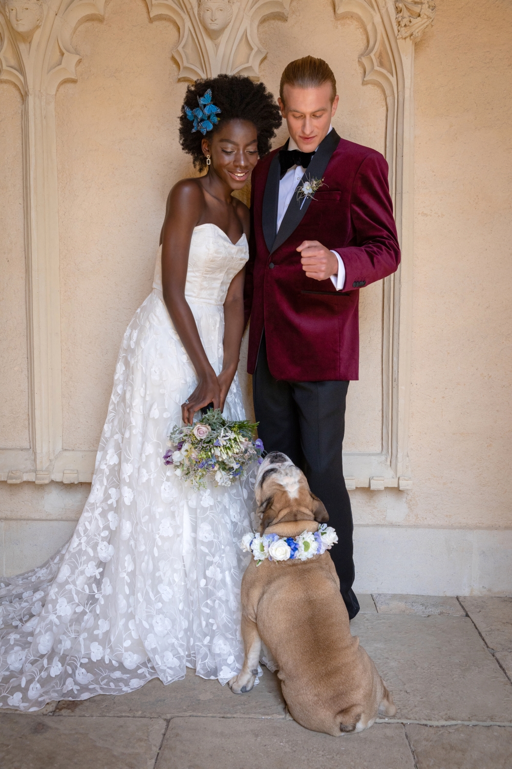 dog-at-wedding