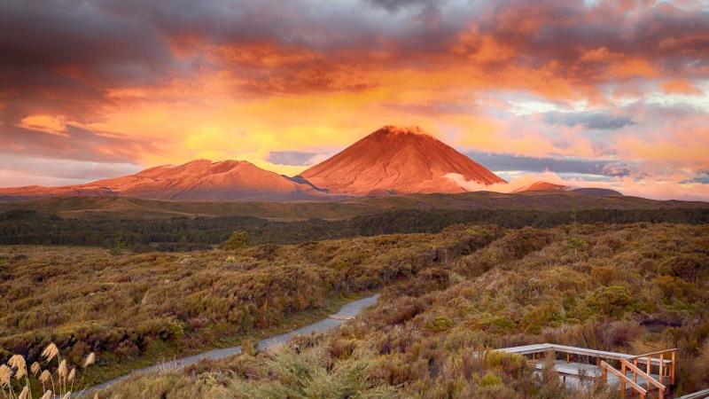 honeymoon-in-new-zealand